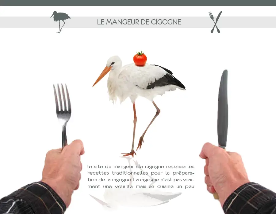 mangeur de cigogne